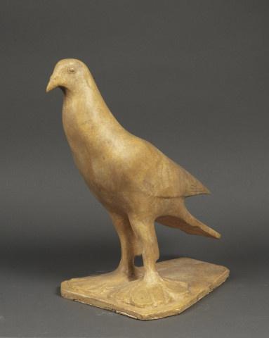 pompon-pigeon-voyageur