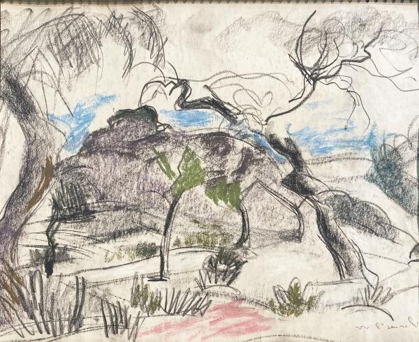 Willy Eisenschitz, paysage aux oliviers, dessin